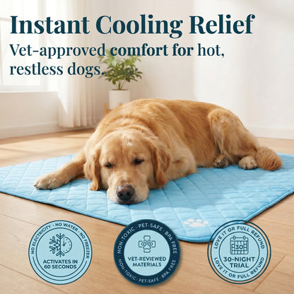 🔥Last Day 50%🔥CoolPaws™ Self-Cooling Mat