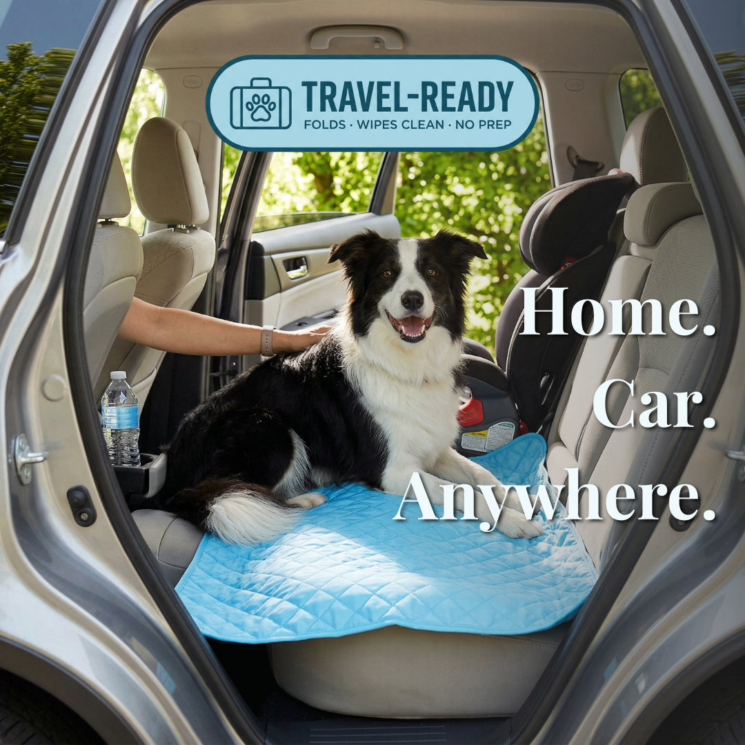 🔥Last Day 50%🔥CoolPaws™ Self-Cooling Mat
